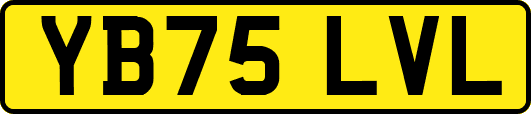 YB75LVL