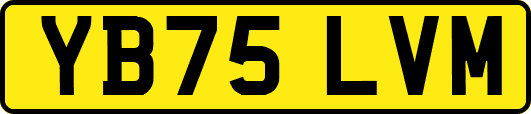YB75LVM