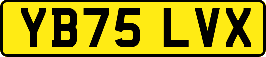 YB75LVX