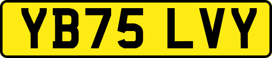 YB75LVY