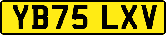 YB75LXV