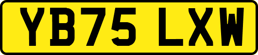 YB75LXW