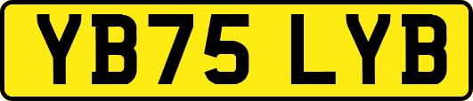 YB75LYB