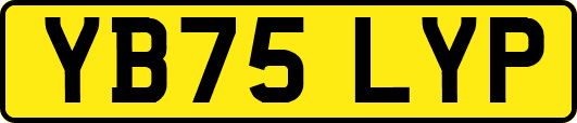 YB75LYP
