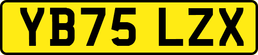 YB75LZX