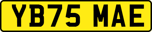 YB75MAE