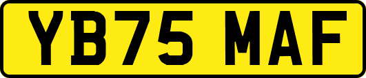 YB75MAF