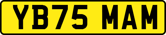 YB75MAM
