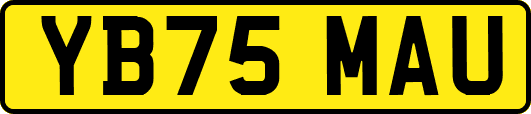 YB75MAU