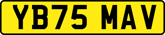 YB75MAV