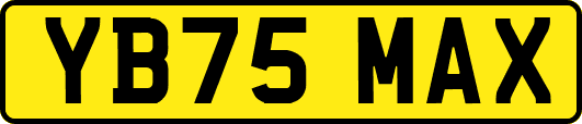 YB75MAX