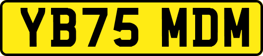 YB75MDM