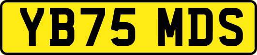 YB75MDS