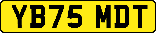 YB75MDT