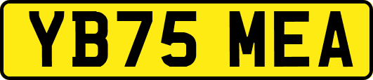 YB75MEA