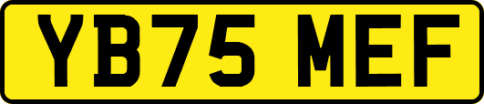YB75MEF