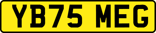 YB75MEG