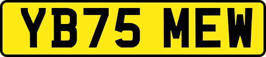 YB75MEW