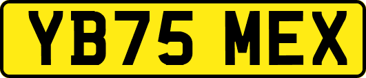 YB75MEX