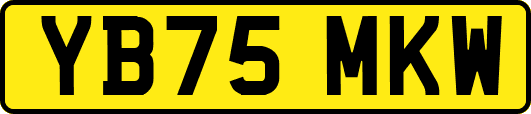 YB75MKW