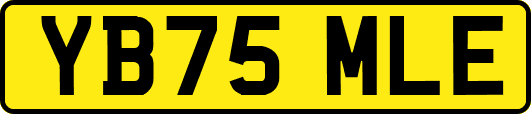 YB75MLE