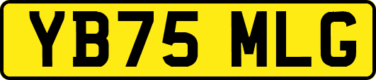 YB75MLG