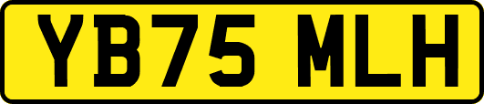 YB75MLH
