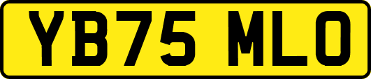 YB75MLO