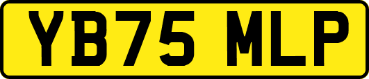 YB75MLP