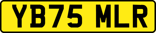 YB75MLR