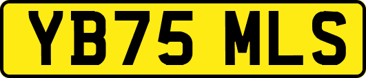 YB75MLS