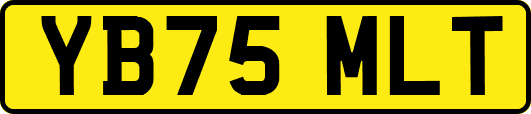 YB75MLT