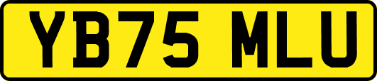 YB75MLU
