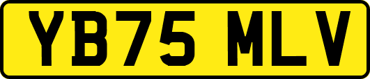 YB75MLV