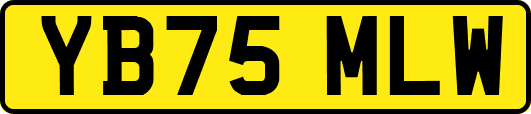 YB75MLW