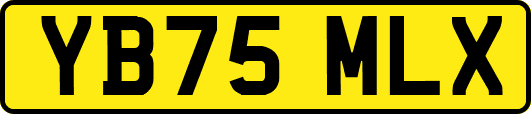 YB75MLX