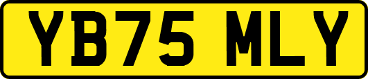 YB75MLY