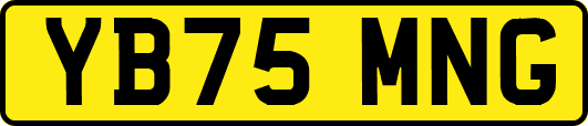 YB75MNG