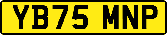YB75MNP