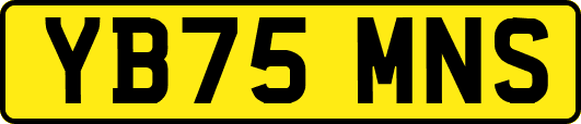 YB75MNS