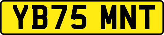 YB75MNT