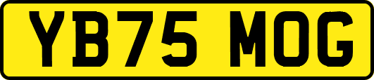 YB75MOG