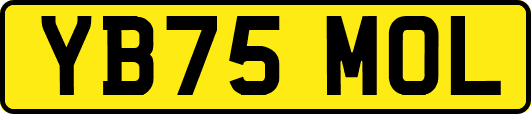 YB75MOL