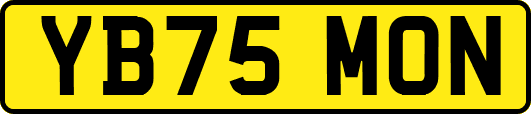 YB75MON