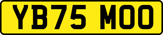 YB75MOO