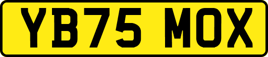 YB75MOX