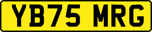 YB75MRG
