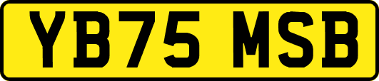 YB75MSB