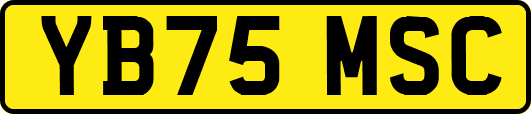 YB75MSC