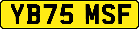 YB75MSF